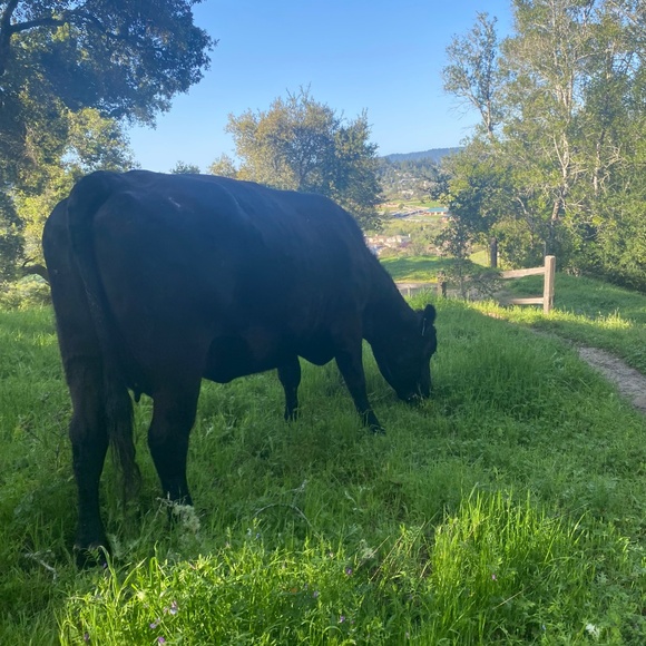 Hello! - Picture 2 of 2